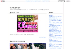 大沢美加の紹介