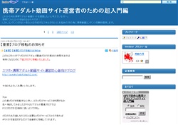 携帯アダルトサイト運営超入門編